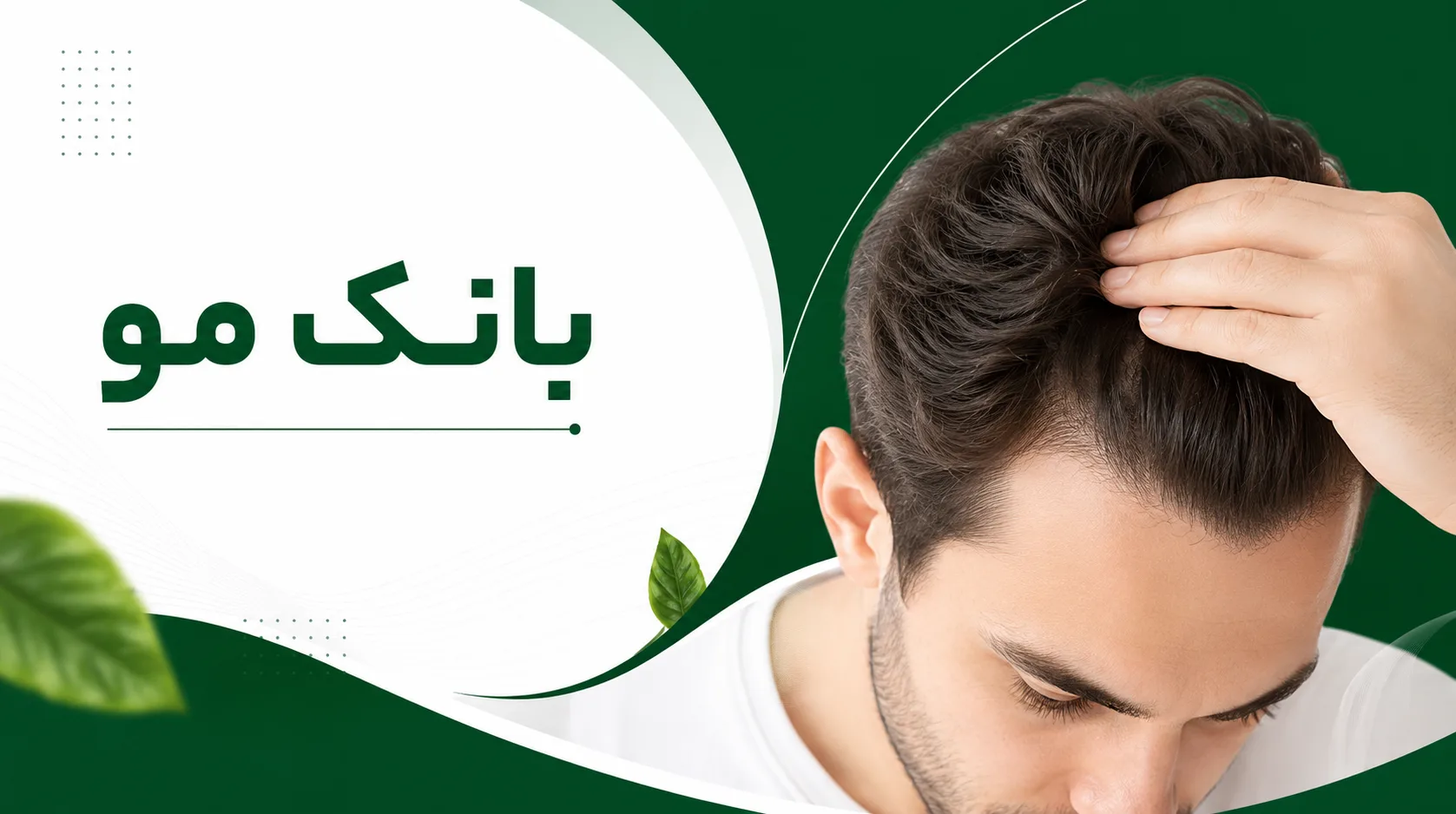 بانک مو